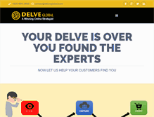 Tablet Screenshot of delveglobal.com